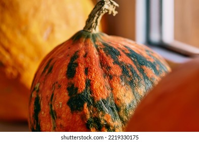 Spotted Pumpkin On The Windowsill. Unusual Coloration. Blurred Abstract Halloween Background. No People. Close Up, Selective Focus.