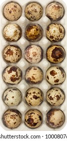 Download Quail Eggs Box Images Stock Photos Vectors Shutterstock Yellowimages Mockups