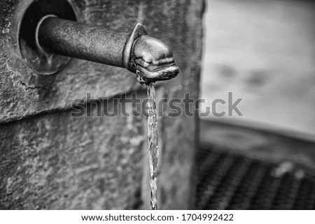 Similar – Image, Stock Photo trickle Nature Water