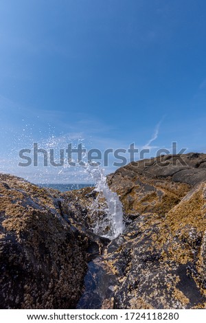 Spout of water shooting out of the popular blow hole attraction at Tow (Taaw) Hill on a calm summer day in Naikoon Provincial Park, Graham Island, Haida Gwaii, British Columbia, Canada.