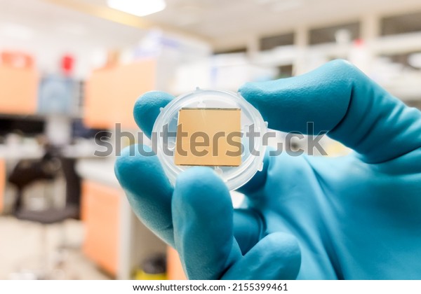 An SPR\
(surface plasmon resonance) chip made of gold. SPR is a laboratory\
technique used for construction of lab-on-a-chip sensors and\
analysis of interactions between\
molecules
