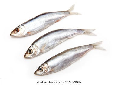 Sprats (Sprattus Sprattus) A Small Oily Fish Isolated On A White Background