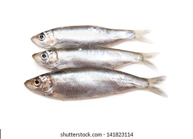 Sprats (Sprattus Sprattus) A Small Oily Fish Isolated On A White Background