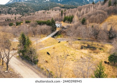 A sprawling farm nestled in the embrace of majestic mountains, showcasing lush fields, grazing livestock, and winding pathways bordered by rustic fences under a clear sky - Powered by Shutterstock