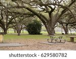 Sprawling trees