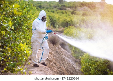 Spray ecological pesticide. Farmer fumigate in protective suit and mask lemon trees. Man spraying toxic pesticides, pesticide, insecticides.