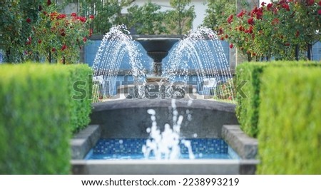  The spray of the fountain of the park and red flower                              