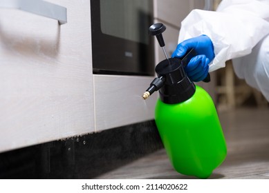 Spray gun with pesticides close-up. An exterminator in work clothes sprays pesticides from a spray bottle. Fight against insects in apartments and houses. Disinsection of premises.