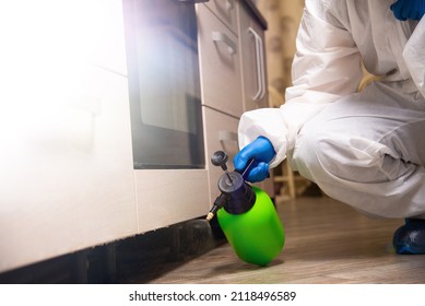 Spray Gun With Pesticides Close-up. An Exterminator In Work Clothes Sprays Pesticides From A Spray Bottle. Fight Against Insects In Apartments And Houses. Disinsection Of Premises.