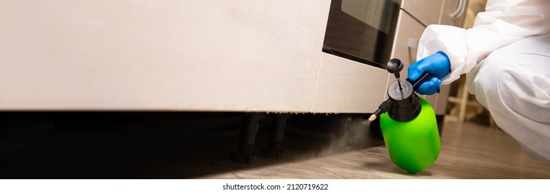 Spray Gun With Pesticides Close-up. An Exterminator In Work Clothes Sprays Pesticides From A Spray Bottle. Fight Against Insects In Apartments And Houses. Disinsection Of Premises