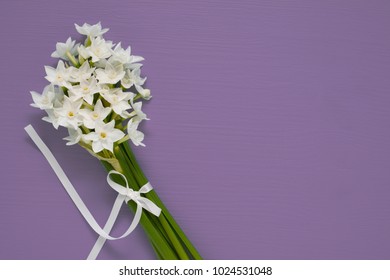 Spray of white narcissus blooms tied with white ribbon on a purple painted background, with copy space