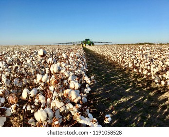 Sprayer On Horizon Of West Texas Cotton Field With Blue Sky