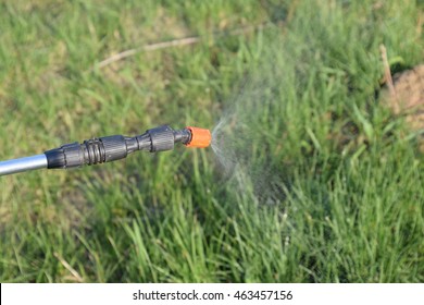 Spraying Herbicide From The Nozzle Of The Sprayer Manual. Devices For Processing Plants In The Garden.