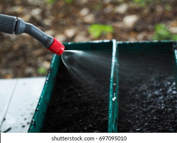 Spraying Herbicide From The Nozzle Of The Sprayer Manual. Devices For Processing Plants In The Pots, Watering Equipment.
