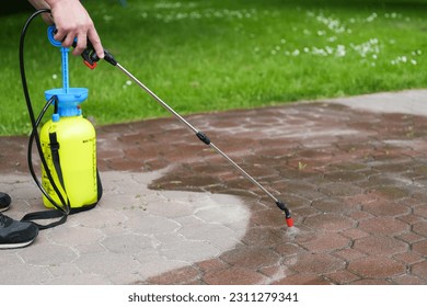 Spraying organic, environmentally-friendly spirit vinegar onto the natural stone pavement (driveway, parking lot) to remove weeds and moss in an eco - Shutterstock ID 2311279341
