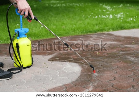 Spraying organic, environmentally-friendly spirit vinegar onto the natural stone pavement (driveway, parking lot) to remove weeds and moss in an eco