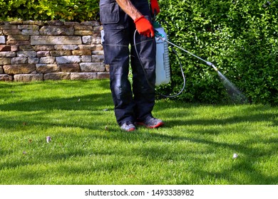spraying pesticide with portable sprayer to eradicate garden weeds in the lawn. weedicide spray on the weeds in the garden. Pesticide use is hazardous to health. Weed control concept. weed killer.  - Shutterstock ID 1493338982