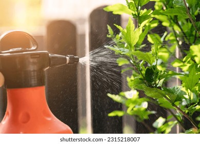 Spraying Plants Leaves Against Aphids Pests and Insects. Pest Control. Spraying Pesticides. - Shutterstock ID 2315218007