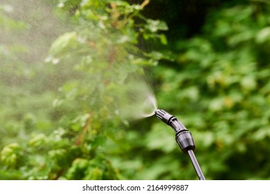 Spraying Tree Leaves Against Pests Chemicals Stock Photo 2164999887   Spraying Tree Leaves Against Pests 260nw 2164999887 