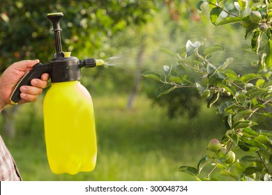 Spraying trees. The gardener takes care of the trees. The concept of gardening and farming.