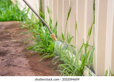 Spraying weed killer herbicide to control unwanted plants and grass on a backyard. House building exterior - Shutterstock ID 2032094699