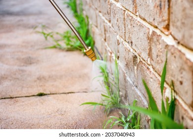 Spraying weed killer herbicide to control unwanted plants and grass on a backyard. House building exterior - Shutterstock ID 2037040943