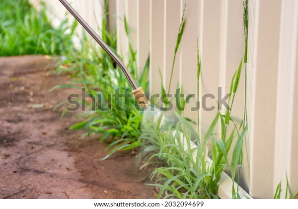 Spraying weed killer\
herbicide to control unwanted plants and grass on a backyard. House\
building exterior