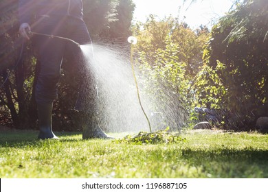 Spraying Weeds In The Garden