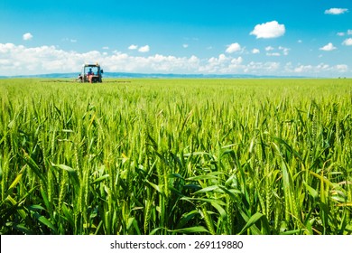 Spraying Wheat Crops Field