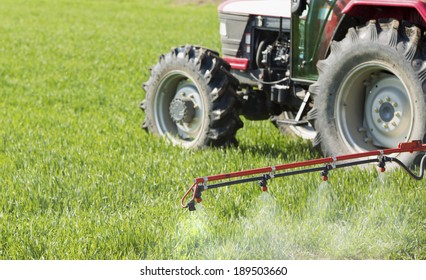 Spraying wheat crops field with tractor and sprayer