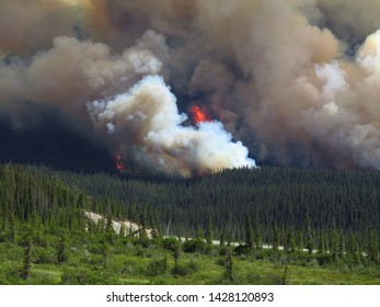 23 Spreading Creek Wildfire Images, Stock Photos & Vectors | Shutterstock