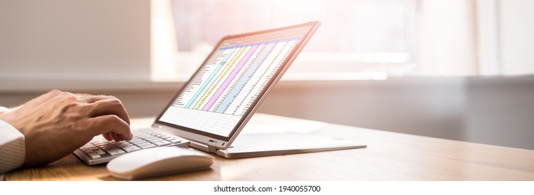 Spreadsheet Business Data Analyst Using Computer Screen