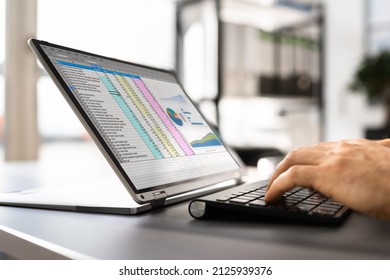 Spreadsheet Business Data Analyst Using Computer Screen