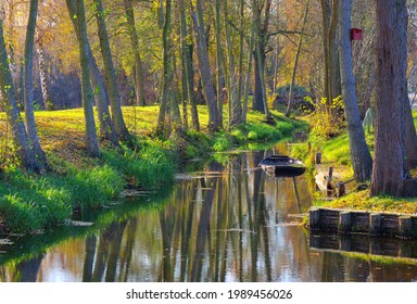 Spree Forest in fall, Brandenburg - Shutterstock ID 1989456026