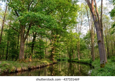 Spreewald In Germany