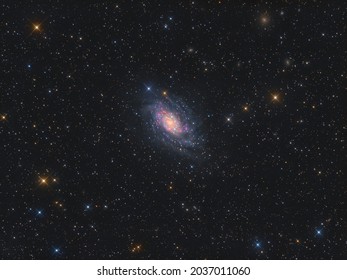 Die Spiralgalaxie NGC 2403 im Sternbild Camelopardalis