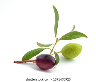 Sprig with fresh olive  isolated on white background - Shutterstock ID 1891470925