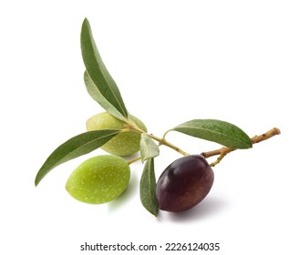Sprig with fresh olive  isolated on white background - Shutterstock ID 2226124035