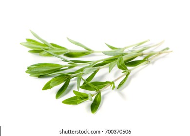 sprig thyme to dried