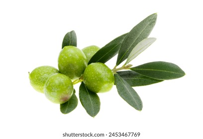 sprig with green olives isolated on white background - Powered by Shutterstock