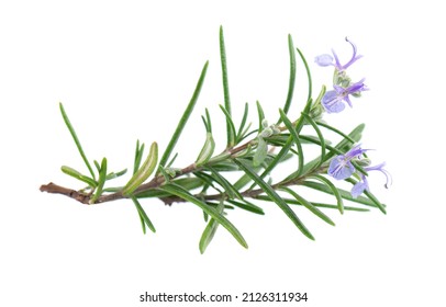 44,286 Rosemary branch Images, Stock Photos & Vectors | Shutterstock