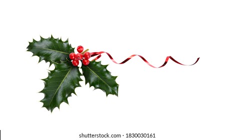A sprig, three leaves, of green holly and red berries and red ribbon for Christmas decoration isolated against a white background.