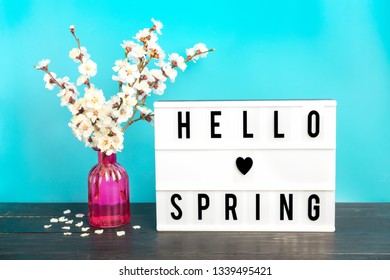 Sprigs Of Apricot Tree With Flowers In Vase And Lightbox With Quote Hello Spring On Wooden Table And Blue Wall Background. Sesonal Concept Of March, April, May Came, Happy Easter, Mother's Day. 