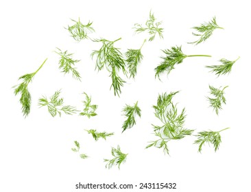 Sprigs Of Dill Isolated On White