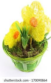 spring
