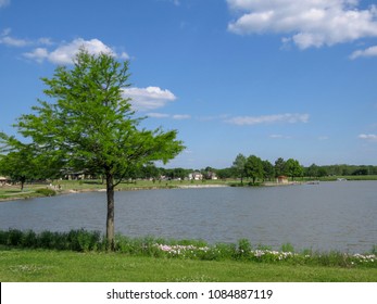 Spring Afternoon At Bob Woodruff Park, Plano, Texas