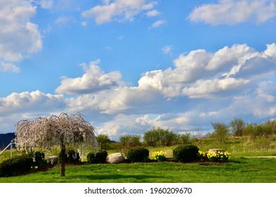 A Spring Afternoon In Park, With A Beautiful Blue Sky And White Floating Clouds. Rural Landscape In Upstate New York. Cloudscape 
