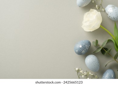 Spring allure: Top view elevated snapshot of genteel graphite eggs, gypsophila, bleach-white tulips, and eucalyptus scattered on a pastel grey surface, reserving space for captions