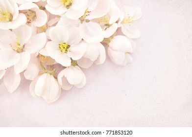 Spring apple blossom frame, toned, springtime blossoming flower background, pastel and soft floral card - Shutterstock ID 771853120