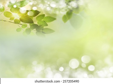 Spring background  - Shutterstock ID 257205490